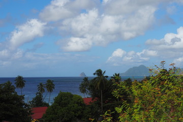 Fototapeta na wymiar Martinique vue de l 'Anse Figuier
