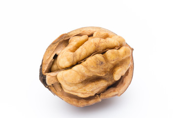 Walnut and walnut kernel isolated on the white background.