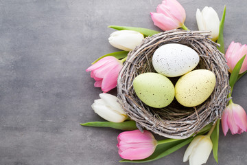 Obraz na płótnie Canvas Easter eggs in the nest und tulip. Gray background.
