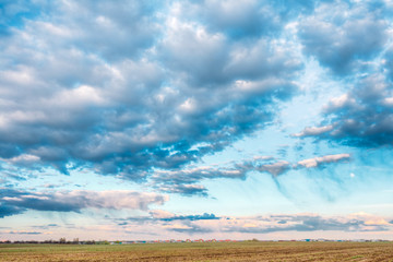 Naklejka na ściany i meble Field Landscape Under Scenic Spring Blue Dramatic Sky With White Fluffy Clouds. Skyline.