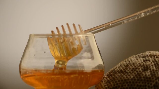ମହୁ Mật ong ማር &Mu;έ&lambda;&iota; Miere Mi&oacute;d M&eacute;z דבש Med Honig Miele Honey Heuning Miel Hunaja Honung 蜂蜜 عسل manuka