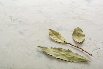 Aromatic bay leaves on white plaster background