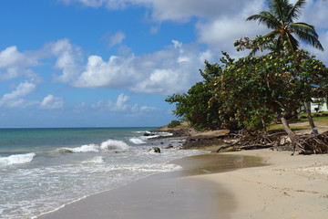 Martinique plage de ste Luce