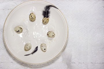 Spring easter composition with eggs