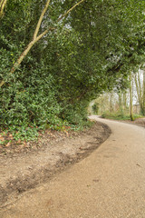 Fototapeta na wymiar walking path made of old tar in a park