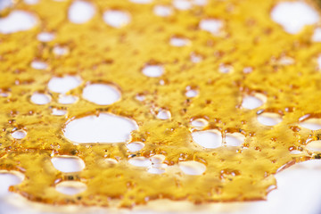 Close up of cannabis oil concentrate aka shatter isolated agains