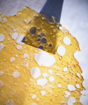 Close up of cannabis oil concentrate aka shatter isolated agains