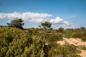 Beautiful landscapes of Fishermen's Trail, Trails Alentejo, Rota Vicentina hiking trail Portugal