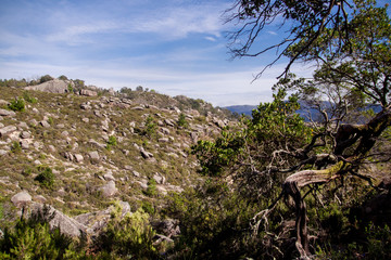 Fototapeta na wymiar Landscape of Peneda geres national park in Portugal