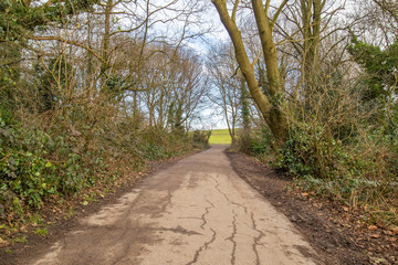 walking path made of old tar in a park