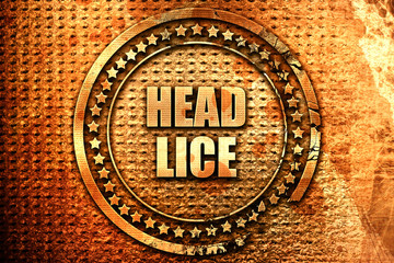 head lice, 3D rendering, text on metal