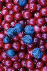 Rustic background with red tasty colorful cranberries and blueberries, top view. Soft focus, closeup photo of berries mix for eco cookery business. Antioxidant natural cowberry harvest