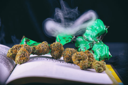 Detail of dried cannabis buds (Green Crack God strain) arranged