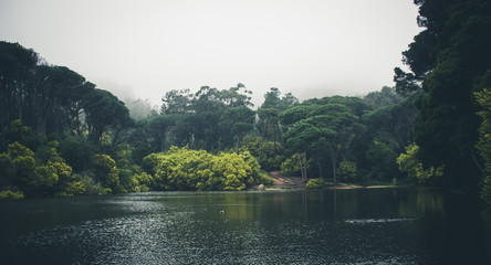 Lagoon surrounded by trees covered with mist, in a winter day in the sintra mountains, Portugal