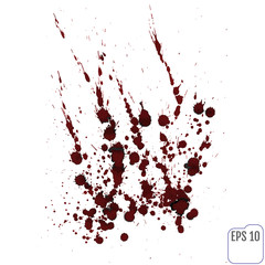 vector blood splatter isolated