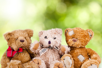 teddy bears grouped on a natural background