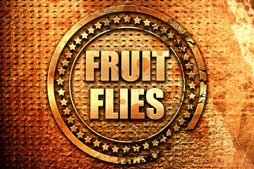 fruit flies, 3D rendering, text on metal