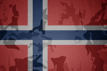 flag of norway on the khaki texture . military concept
