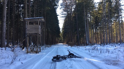 Radfahren in winterlichem Wald