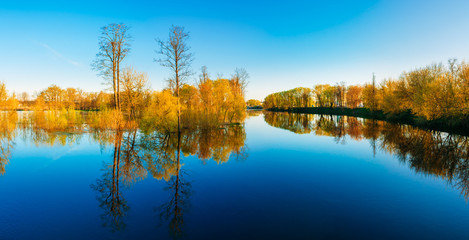 Naklejka na ściany i meble Panorama Of Spring Nature. Trees Woods Standing In Water During 