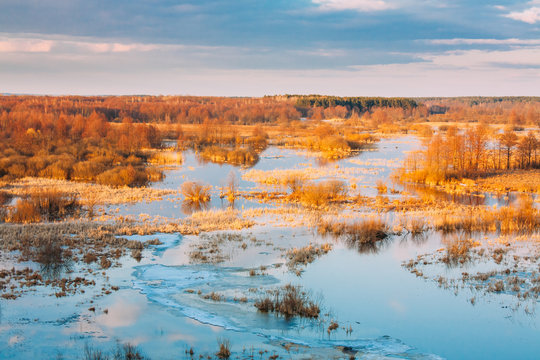 Trees In Water During A Spring Flood. Beautiful Spring Nature Landscape © Grigory Bruev