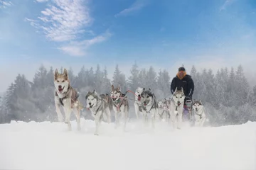 Deurstickers Winter sled dog race in the wonderful winter landscape in the ba © murmakova
