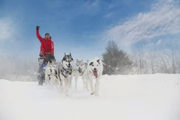 Poster Winter sled dog race in the wonderful winter landscape in the ba © murmakova