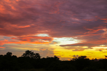 sky before sunset  colorful and silhouette woodland, twilight 