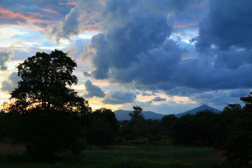 sky before sunset  colorful and silhouette woodland, twilight 