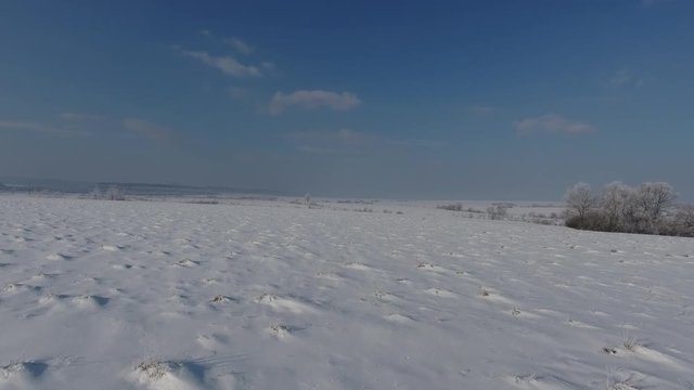 Ukraine January 2017: Aerial-Flying over snow covered field to snowy juniper tree studded hillside on overcast grey day with snow continuing to fall.