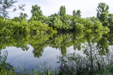 RIBERA DEL RIO TORMES EN PRIMAVERA AÑO 2016