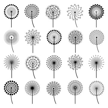 Set of stylized flowers dandelions