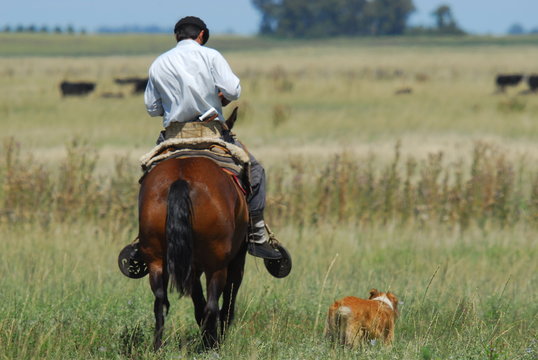 Caballos y Gauchos en Arreo 
