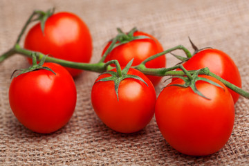 Bunch of fresh tomatoes on sacking