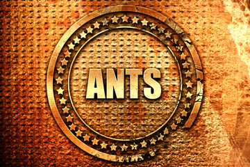 ants, 3D rendering, text on metal