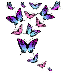 Obraz na płótnie Canvas beautiful butterfly, on a white