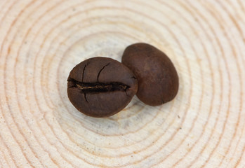 Two Coffee Beans are on the Tree Stool