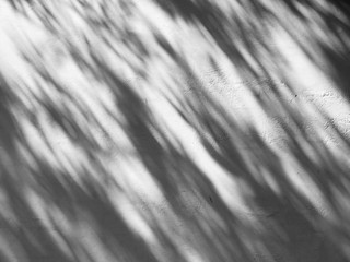 Wall light with shadows