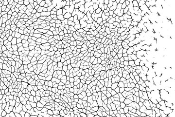 Wide cracks  grunge background    