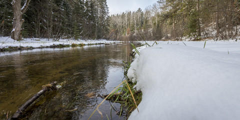 Down by the creek