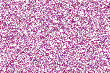 Wide letters mix  background