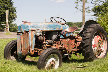 Obraz premium Tractor 