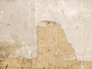 Obraz premium old crack wood texture