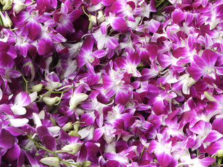 Fototapeta na wymiar Bouquets of purple and white orchid flowers stacked on display at flower market in Bangkok, Thailand