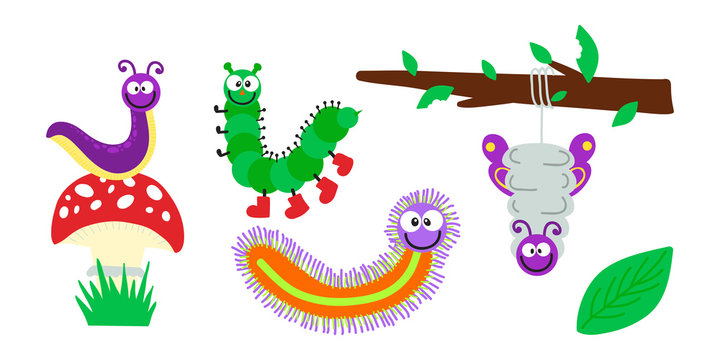 Cartoon caterpillar insect vector illustration.