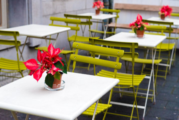 Tables, chairs and flowes at outdoor cafeteria