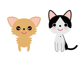 チワワとハチワレ