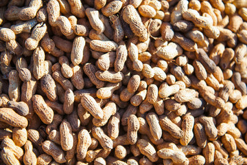 steam peanut for sell on cart in Nepal