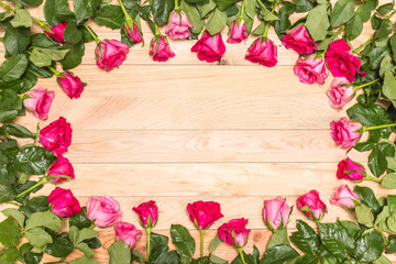 Fresh pink rose flower on wooden deck. For love or valentine day