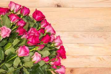 Fresh pink rose flower on wooden deck. For love or valentine day